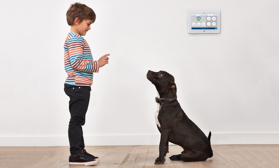 Noble security systems